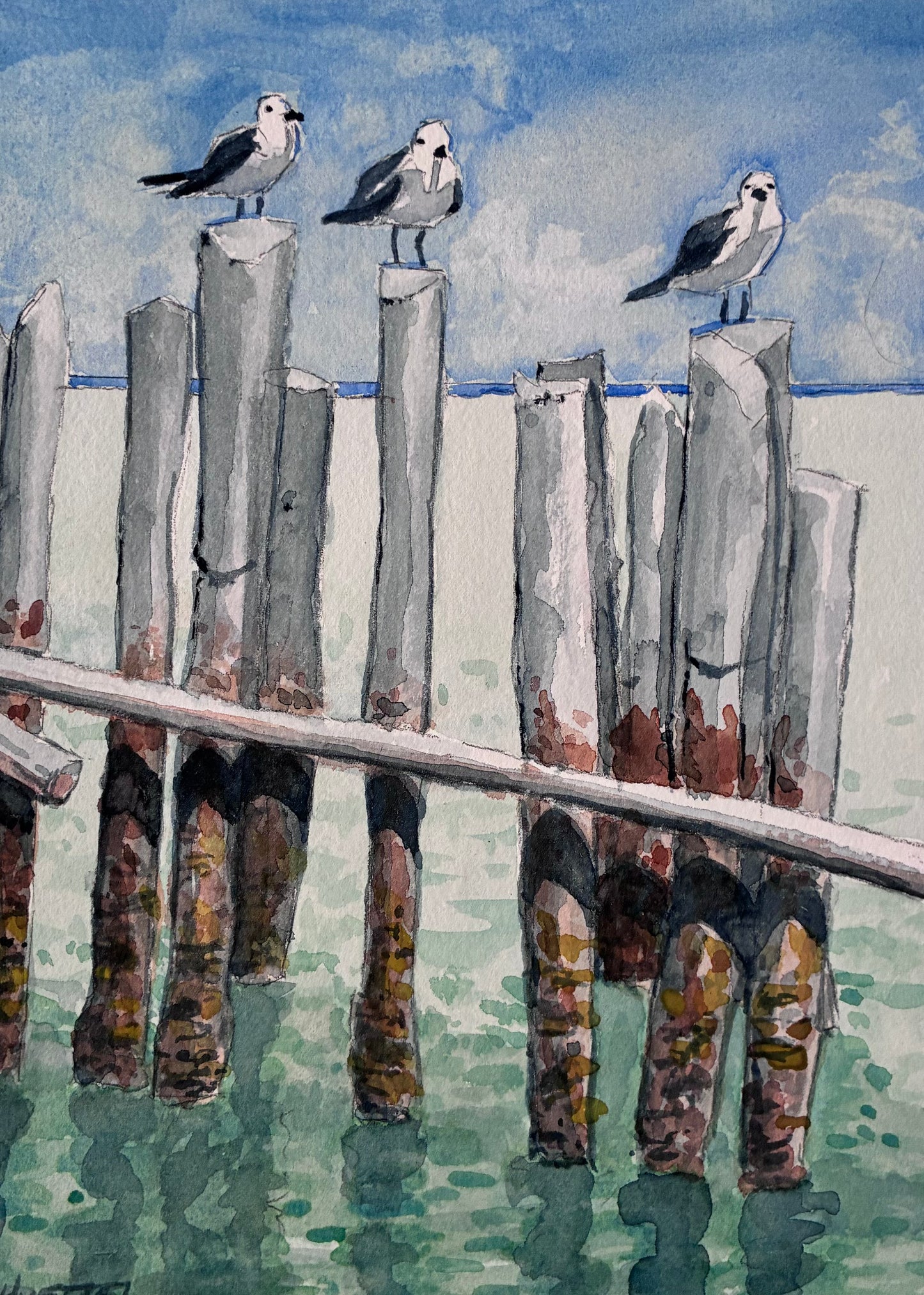 Lazy Seagulls