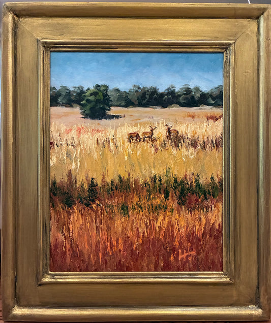 Grazing in the Field