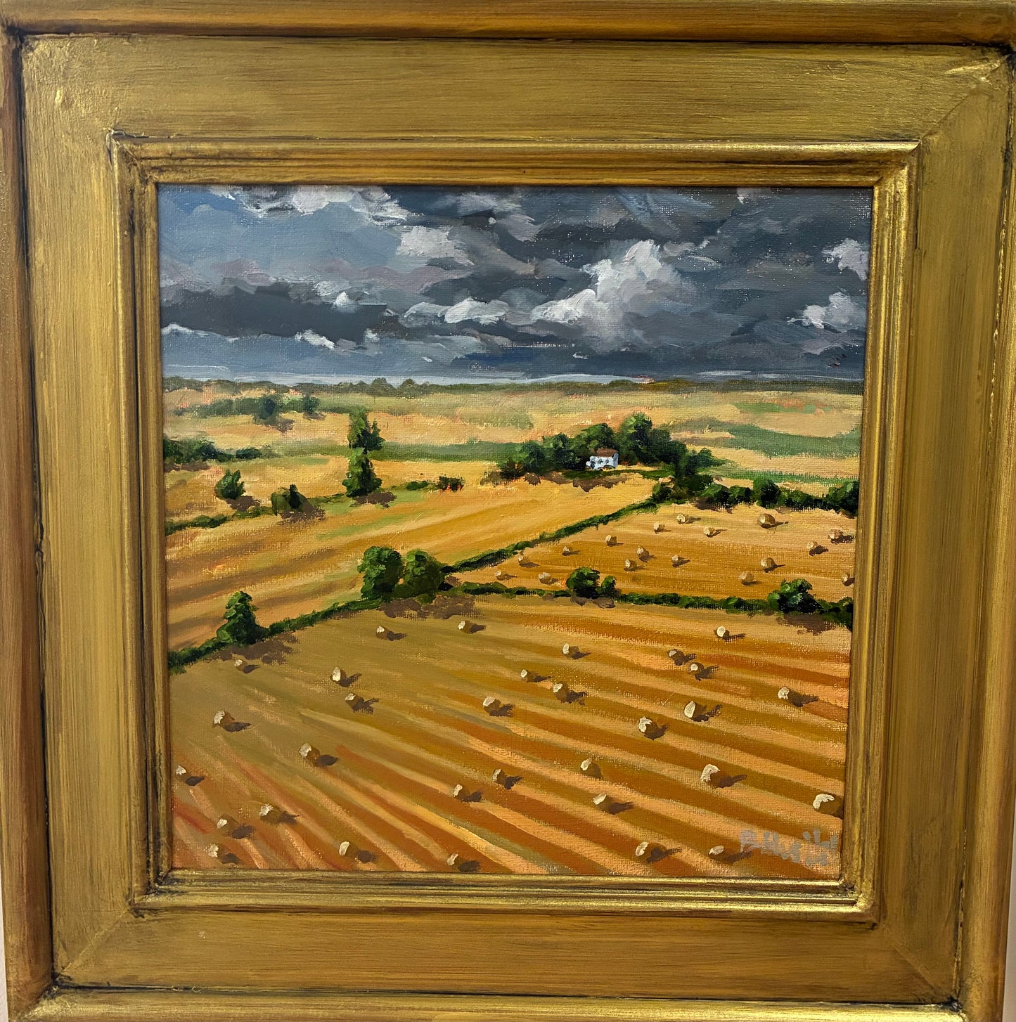 Fields of Ochre
